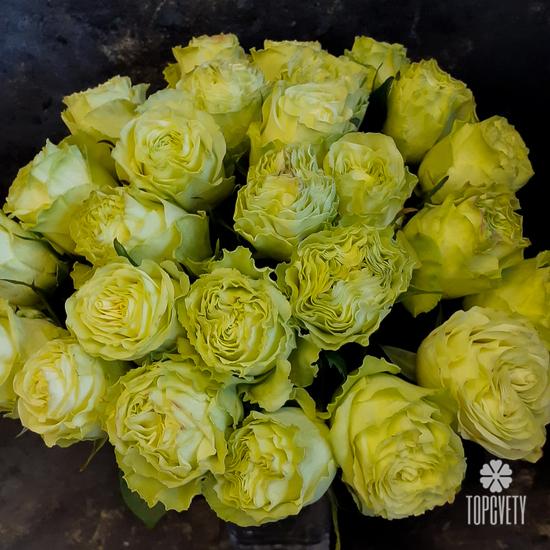 Букет из 25 желтых пионовидных роз Лимонад 50см