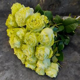 Букет из 25 желтых пионовидных роз Лимонад 50см
