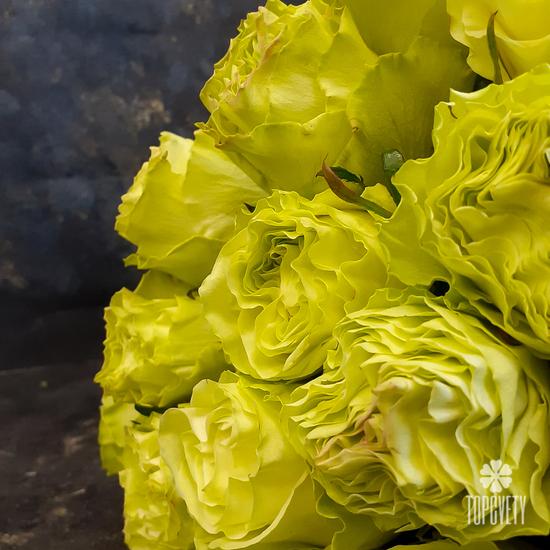 Букет из 25 желтых пионовидных роз Лимонад 50см