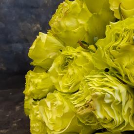 Букет из 25 желтых пионовидных роз Лимонад 50см