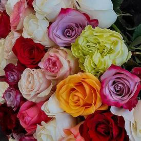 Букет из 51 сортовой розы микс 50см