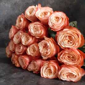 Букет из 21 пионовидной розы Кахала 60см