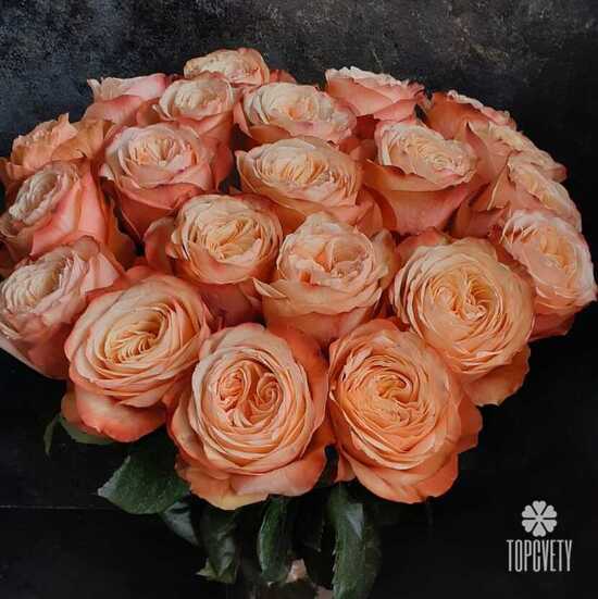 Букет из 21 пионовидной розы Кахала 60см