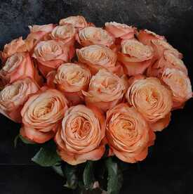 Букет из 21 пионовидной розы Кахала 60см