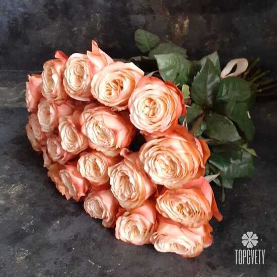 Букет из 21 пионовидной розы Кахала 60см