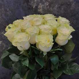 Букет из 21 белой розы Мондиаль 70см