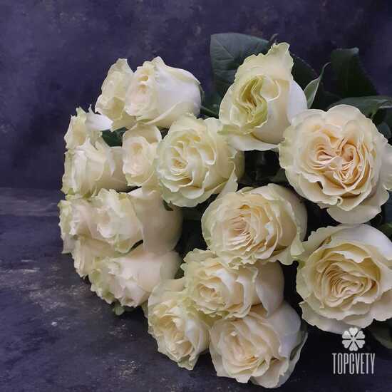 Букет из 21 белой розы Мондиаль 70см