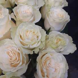 Букет из 21 белой розы Мондиаль 70см