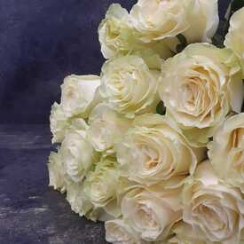 Букет из 21 белой розы Мондиаль 70см