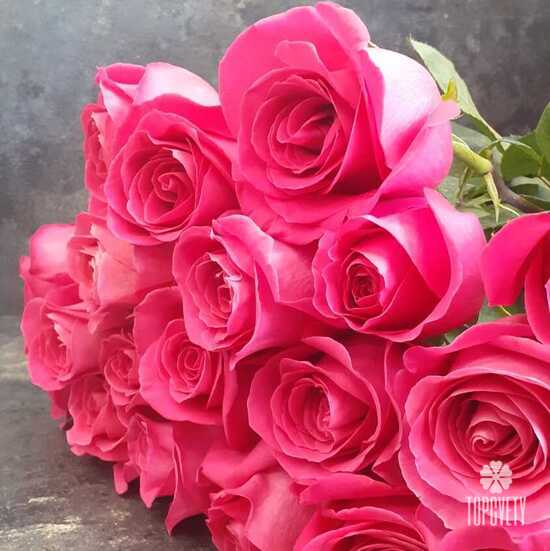 Букет из 21 розовой розы Пинк Флойд 