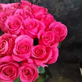 Букет из 21 розовой розы Пинк Флойд 