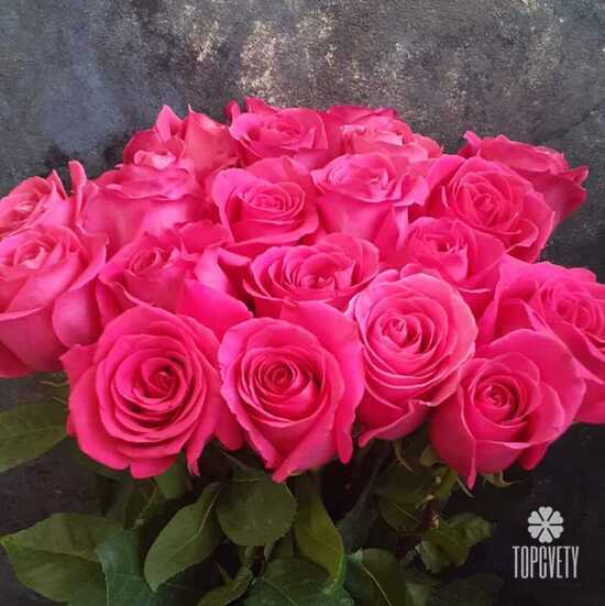 Букет из 21 розовой розы Пинк Флойд 