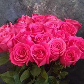 Букет из 21 розовой розы Пинк Флойд 
