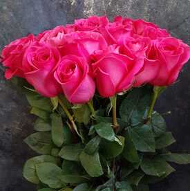 Букет из 21 розовой розы Пинк Флойд 