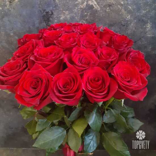 Букет из 21 красной розы Эксплорер 70см