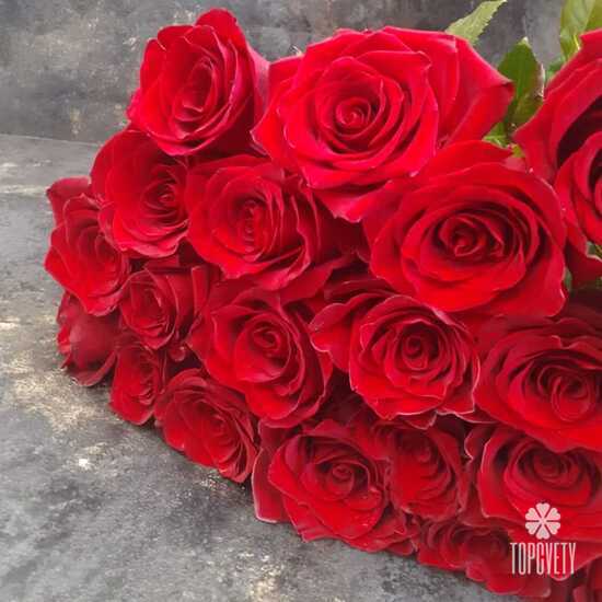 Букет из 21 красной розы Эксплорер 70см