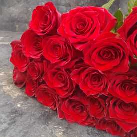 Букет из 21 красной розы Эксплорер 70см