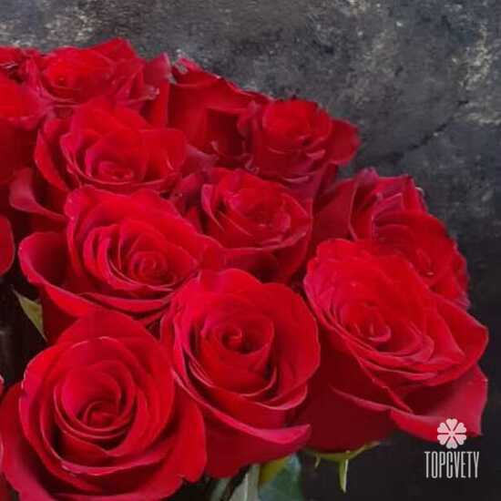 Букет из 21 красной розы Эксплорер 70см