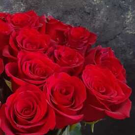 Букет из 21 красной розы Эксплорер 70см