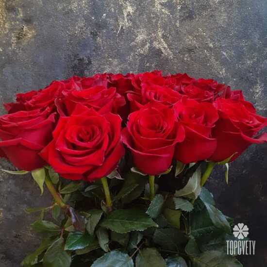 Букет из 21 красной розы Эксплорер 70см