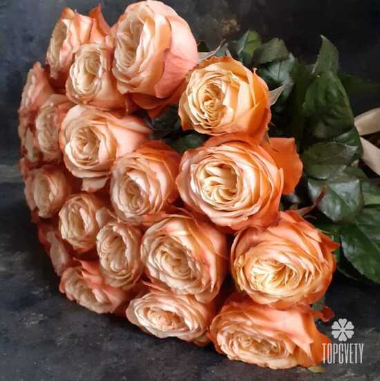 Букет из 23 пионовидных роз Кахала 60см