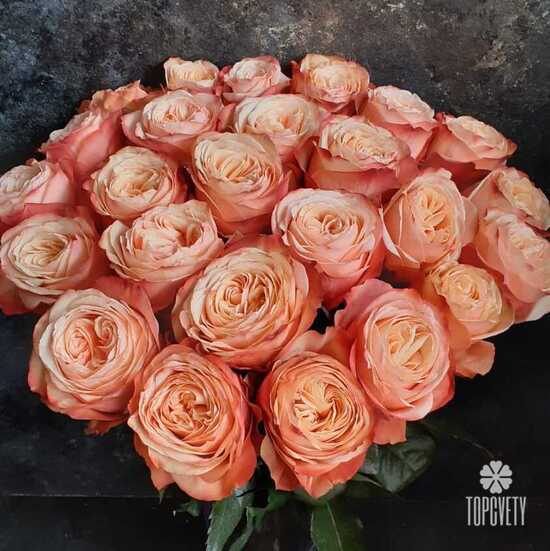Букет из 23 пионовидных роз Кахала 60см