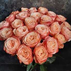 Букет из 23 пионовидных роз Кахала 60см