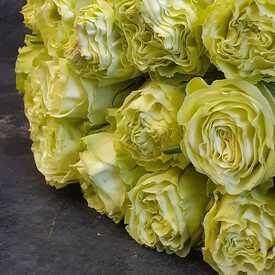 Букет из 17 роз Лимонад 50см