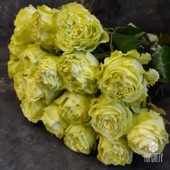 Букет из 17 роз Лимонад 50см