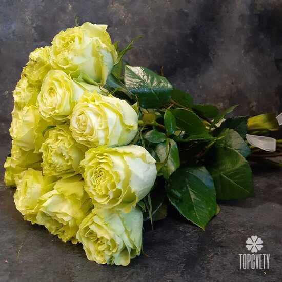 Букет из 19 желтых пионовидных роз Лимонад 50см