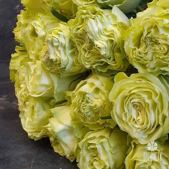 Букет из 19 желтых пионовидных роз Лимонад 50см