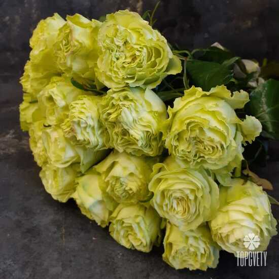 Букет из 19 желтых пионовидных роз Лимонад 50см