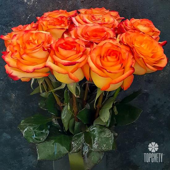 Букет из 11 оранжевых роз 50см