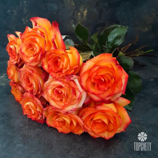 Букет из 11 оранжевых роз 50см