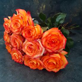 Букет из 11 оранжевых роз 50см