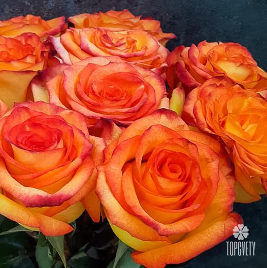 Букет из 11 оранжевых роз 50см