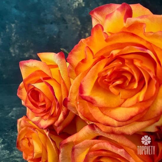 Букет из 11 оранжевых роз 50см