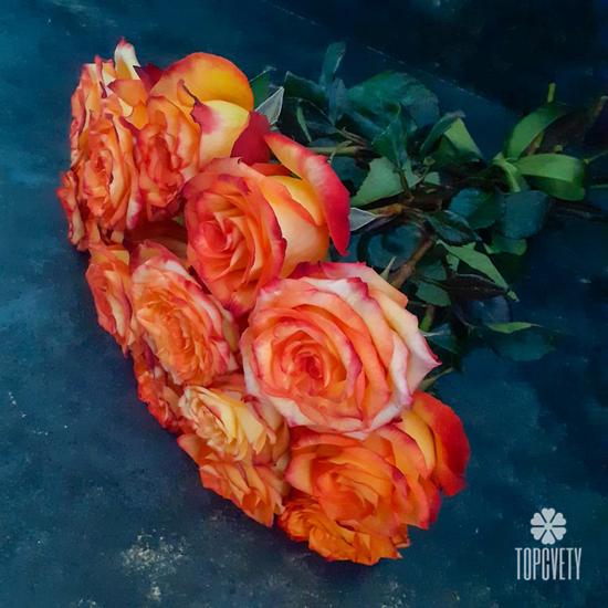 Букет из 15 оранжевых роз 50см