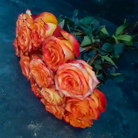 Букет из 15 оранжевых роз 50см