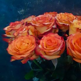 Букет из 15 оранжевых роз 50см