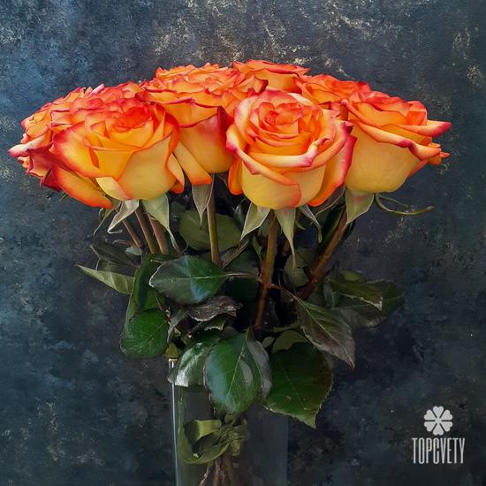 Букет из 15 оранжевых роз 50см