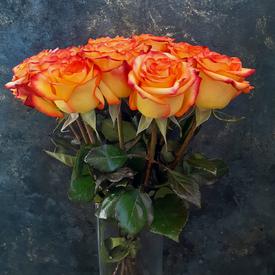 Букет из 15 оранжевых роз 50см