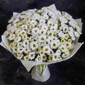 Букет их 21 белой кустовой хризантемы Сантини