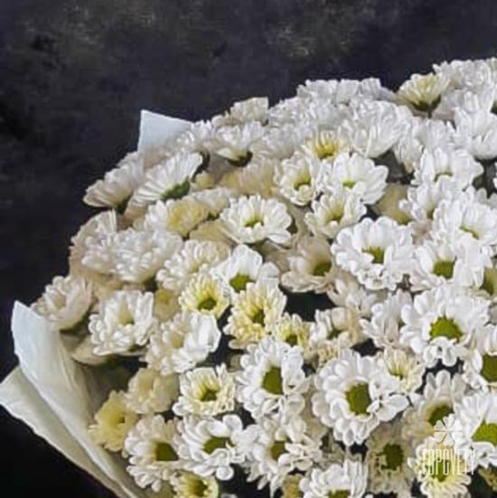 Букет их 21 белой кустовой хризантемы Сантини