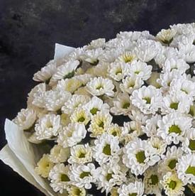 Букет их 21 белой кустовой хризантемы Сантини