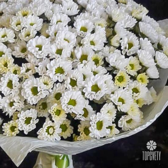 Букет их 21 белой кустовой хризантемы Сантини