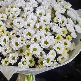 Букет их 21 белой кустовой хризантемы Сантини