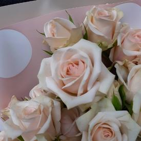 Букет из 7 веток кремовых кустовых роз 