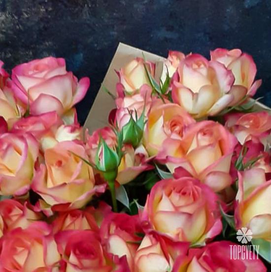 Букет из 7 желто-красных кустовых роз 70см