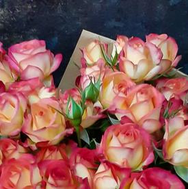 Букет из 7 желто-красных кустовых роз 70см